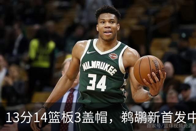 13分14篮板3盖帽，鹈鹕新首发中锋首秀交出两双